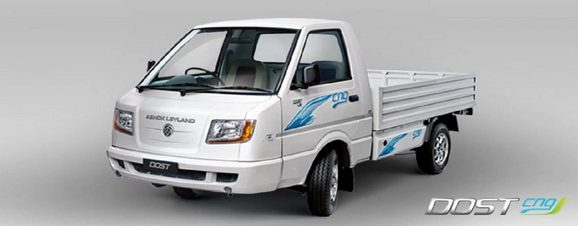 Team Member Image